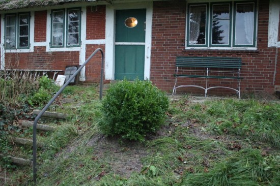 Buchbaum-haus-anna-elbe