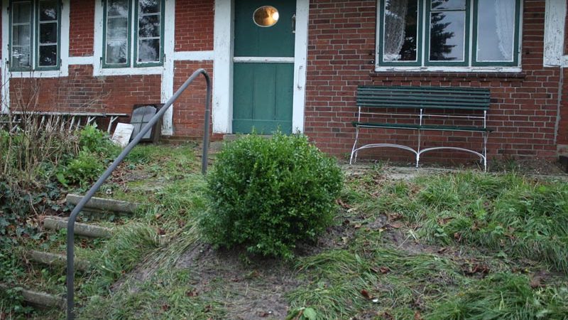 Buchbaum-haus-anna-elbe