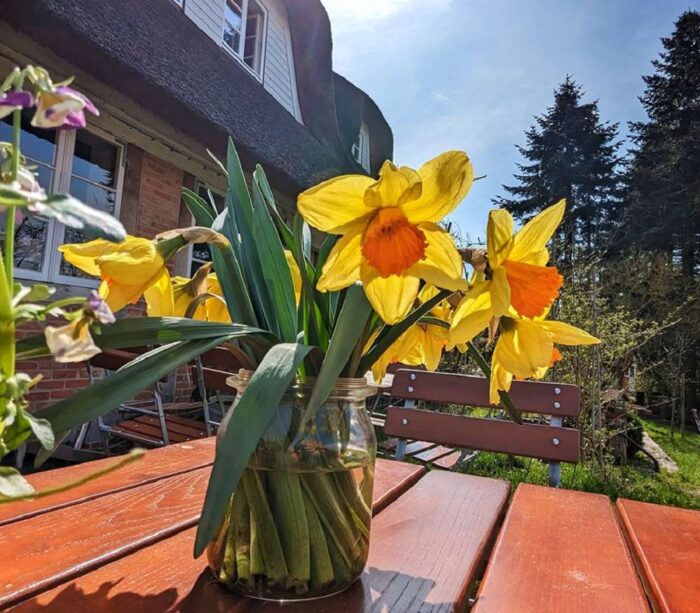 Haus-Anna-Elbe-Hamburg-Cafe-Sommer-Events (4)