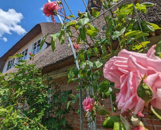 Haus-Anna-Elbe-Hamburg-Cafe-Sommer-Events (7)