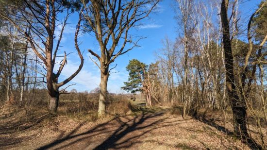 Haus-Anna-Elbe-Hamburg-Hinterland-Felder-Duenen-Moor-01
