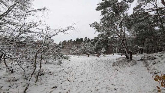Haus-Anna-Elbe-Hamburg-Winter-Ausflug-Unterkunft (9)