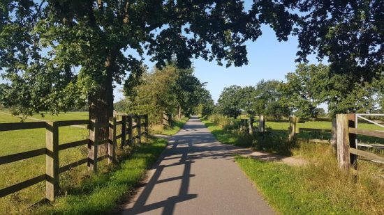 Haus-Anna-Elbe-Marschbahndamm-Sommer-Ausflug-Hamburg-06