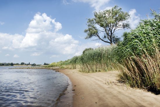 elbstrand_20100716_08