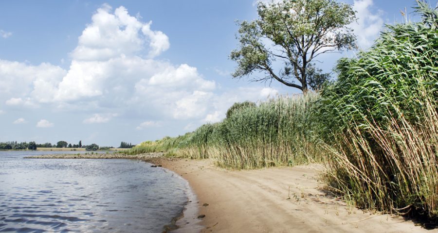 elbstrand_20100716_08