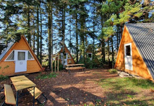 haus-anna-elbe-hamburg-waldhuetten