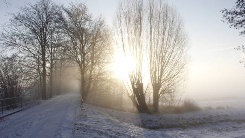 haus-anna-elbe-winter-kurzurlaub-ausflug-hamburg-vierlanden-ferienwohnungen (10)
